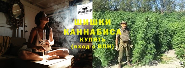стаф Няндома