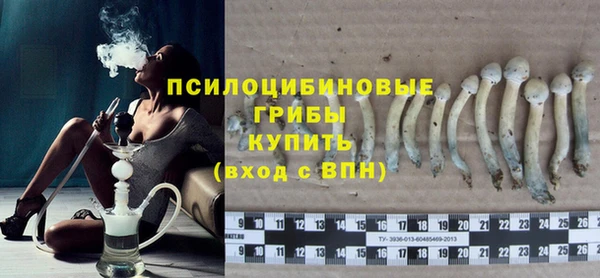 прущие грибы Арсеньев