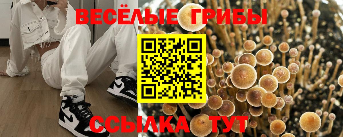 Десногорск  Псилоцибиновые грибы прущие грибы  Вход с VPN 